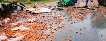 На трассе Одесса-Николаев произошло смертельное ДТП